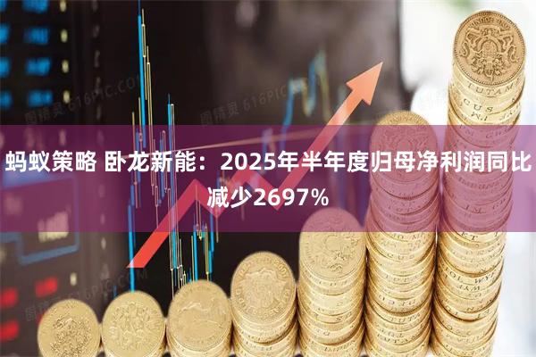蚂蚁策略 卧龙新能：2025年半年度归母净利润同比减少2697%