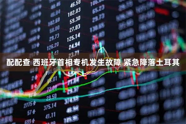 配配查 西班牙首相专机发生故障 紧急降落土耳其