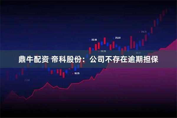 鼎牛配资 帝科股份：公司不存在逾期担保