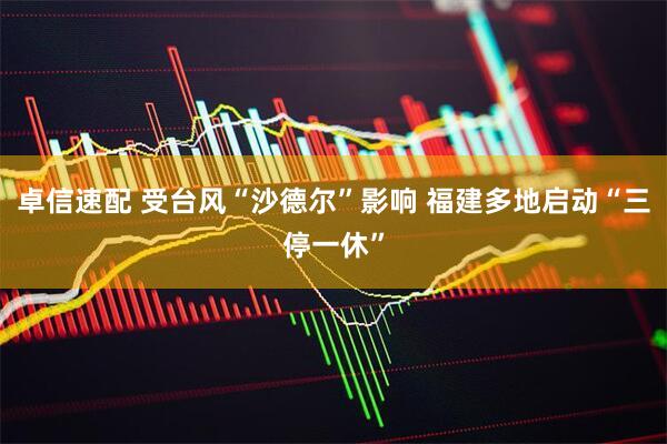 卓信速配 受台风“沙德尔”影响 福建多地启动“三停一休”